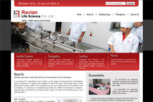 Top Web Maker, Top Web Designer, Top Web Artist, Top Web Company, Top Web Designer India, Top Web Designing Company