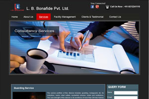 Website Designers, India Website Design, Award Winning Website Designer, Website Design Experts