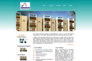 Website Designers, India Website Design, Award Winning Website Designer, Website Design Experts